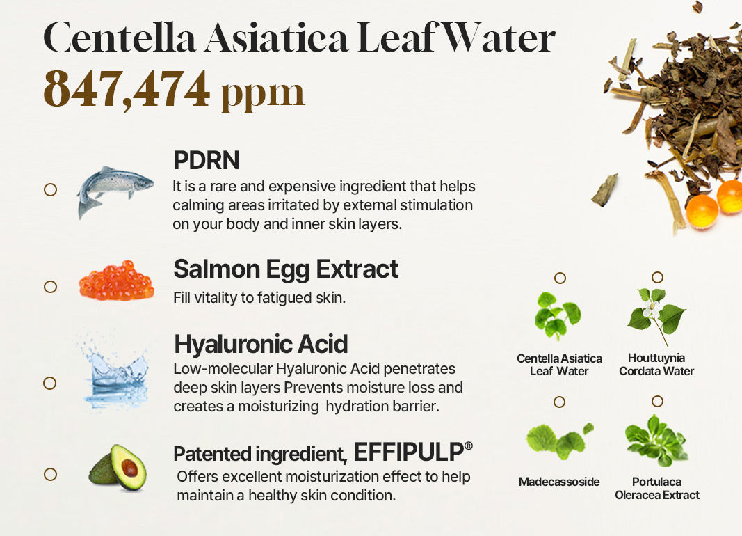 Salmon Caring Centella Ampoule