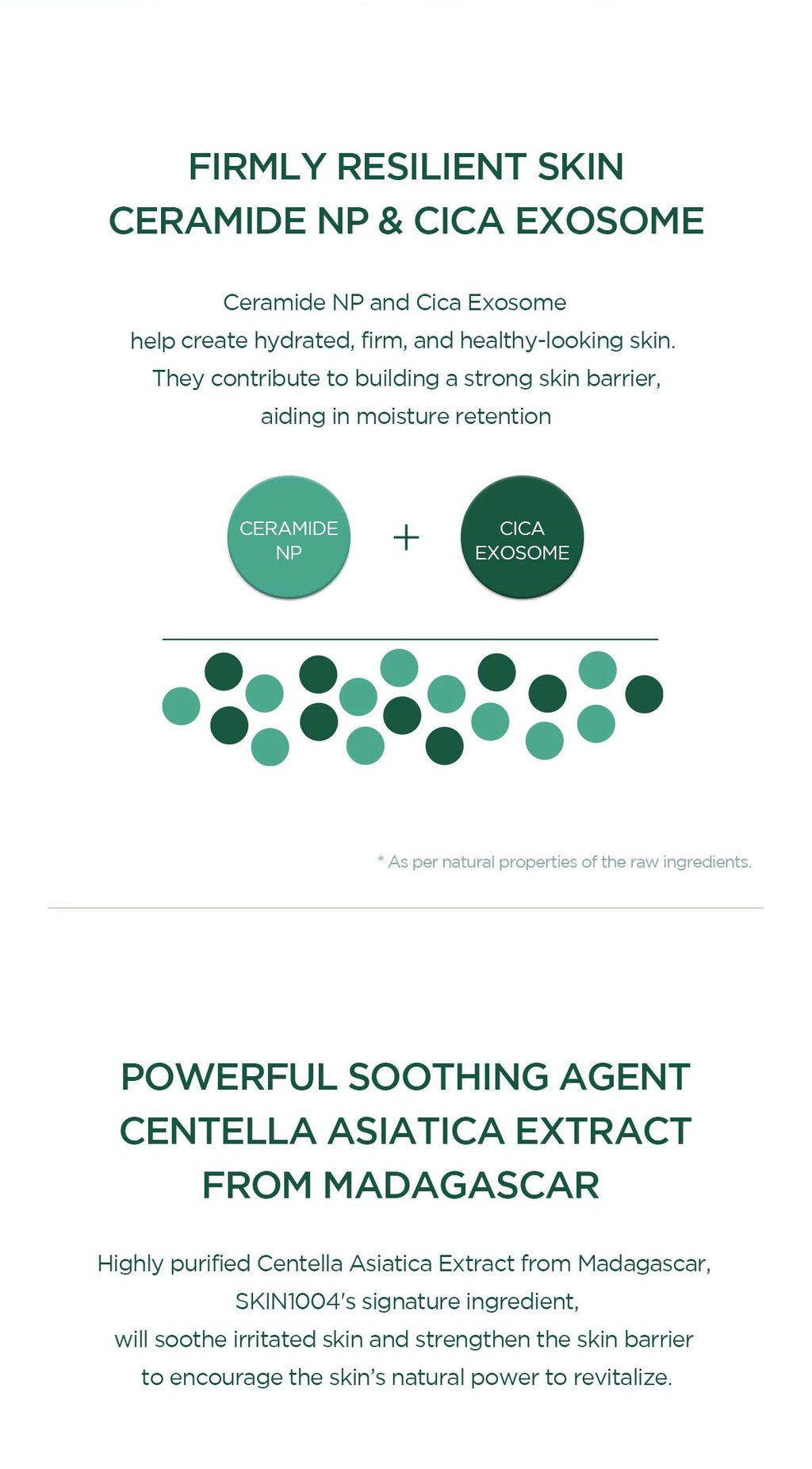 Madagascar Centella Teatreeca B5 Cream