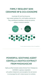 Madagascar Centella Teatreeca B5 Cream