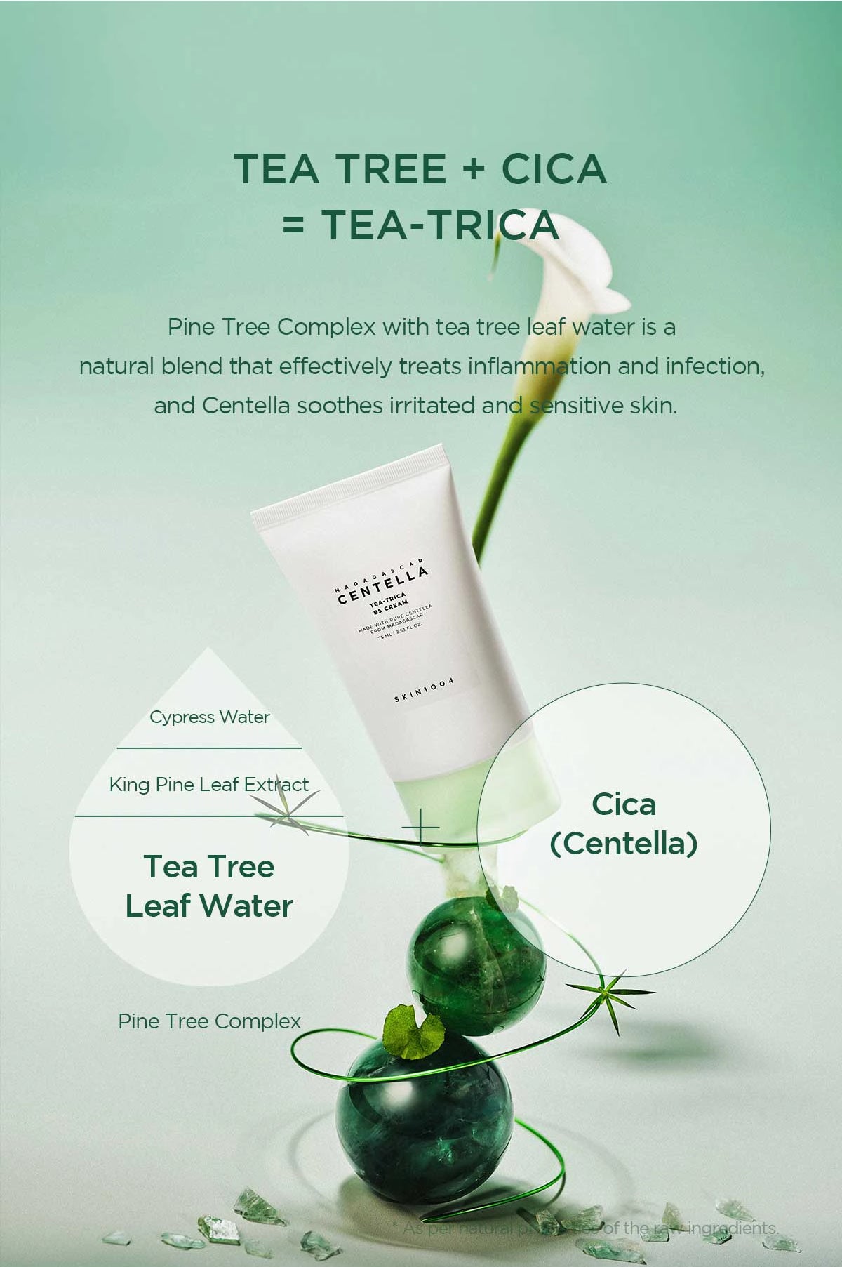 Madagascar Centella Teatreeca B5 Cream